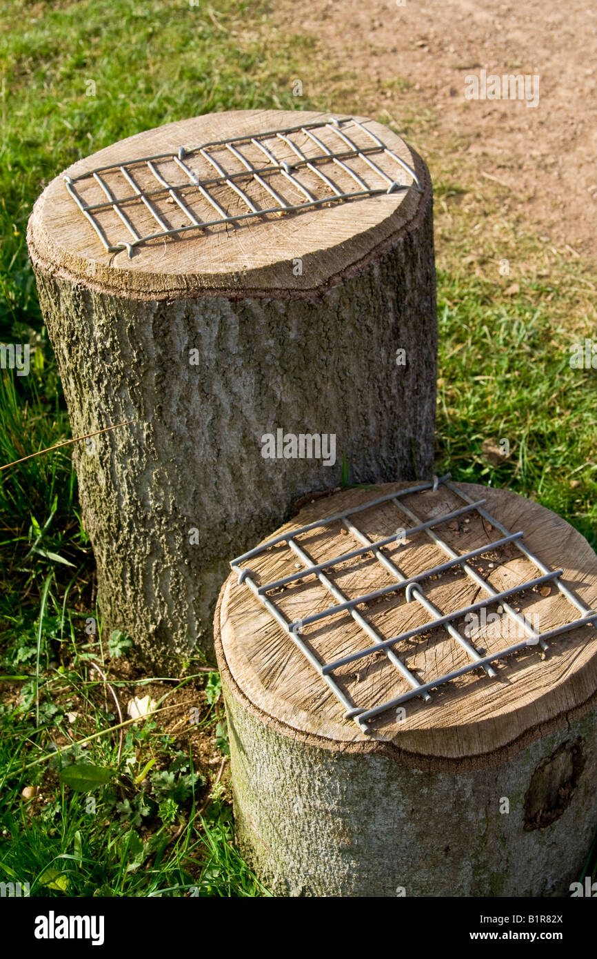 ^^legno blocchi di montaggio, UK. Foto Stock