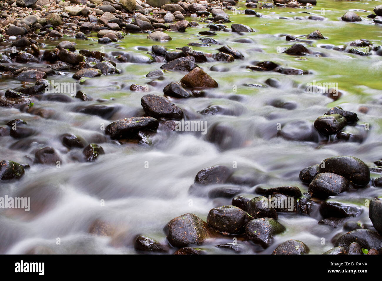 Una lunga esposizione di acqua che scorre sulle pietre di un fiume scozzese a Cawdor boschi, Nairn, Scozia Foto Stock