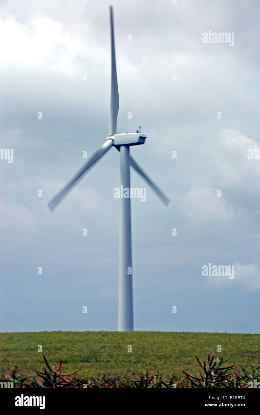 Turbina eolica in Nord Pas De Calais Foto Stock