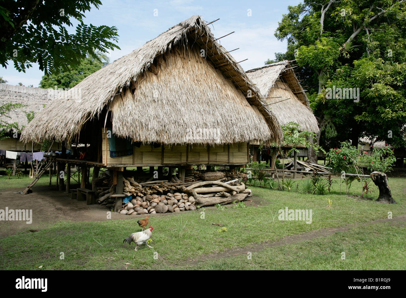Pila tradizionali abitazioni presso il villaggio Mindre, edilizia residenziale, Papua Nuova Guinea, Melanesia Foto Stock