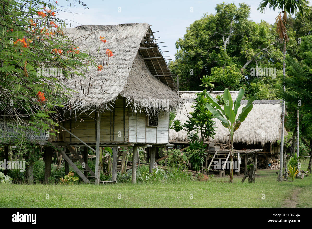 Pila tradizionali abitazioni presso il villaggio Mindre, edilizia residenziale, Papua Nuova Guinea, Melanesia Foto Stock