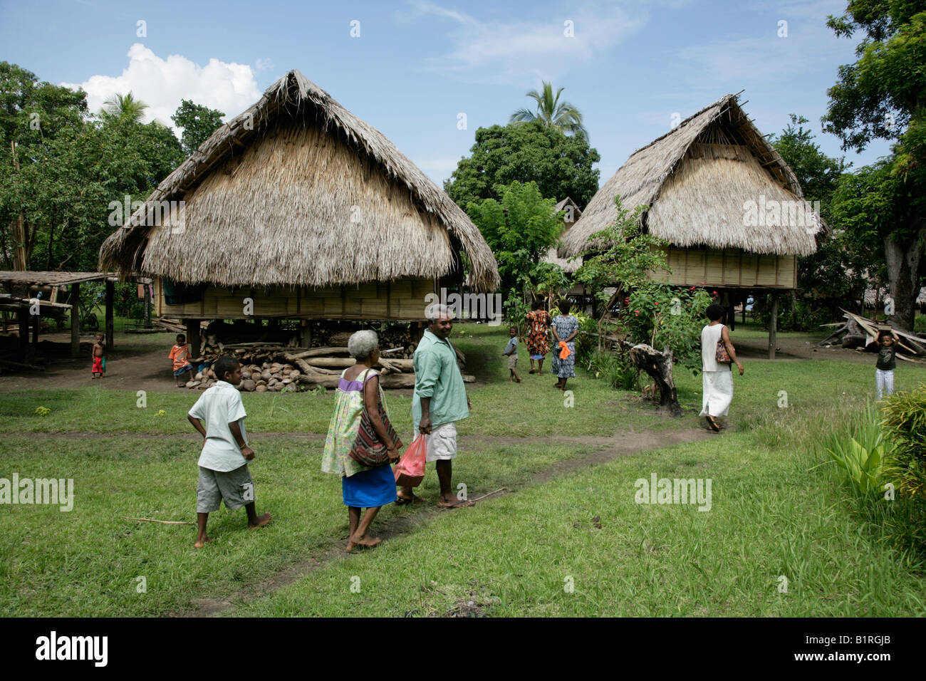 Pila tradizionali abitazioni presso il villaggio Mindre, edilizia residenziale, Papua Nuova Guinea, Melanesia Foto Stock