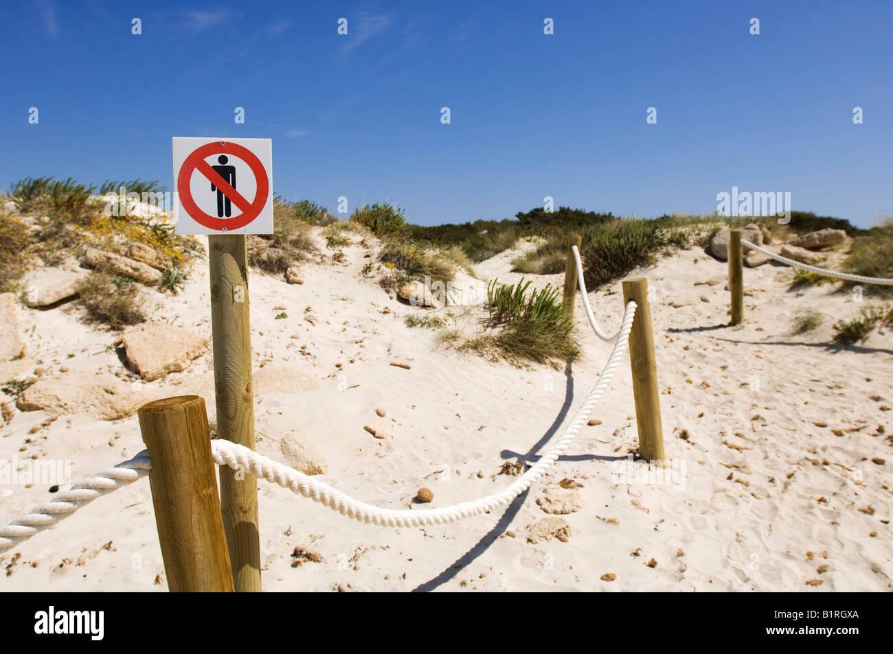 Percorso attraverso le dune di sabbia, nessuna voce segno, Platja des Trenc, Maiorca, isole Baleari, Spagna, Europa Foto Stock