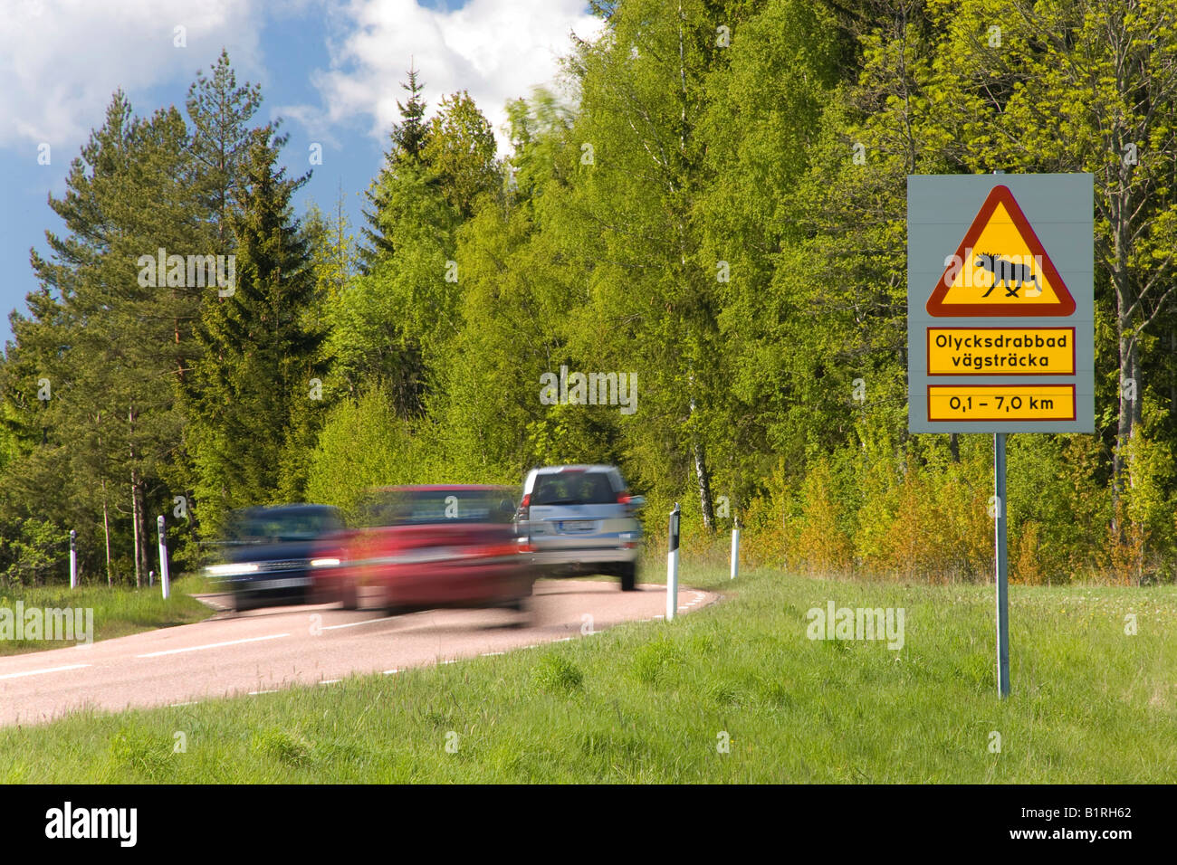 Moose cartello segnaletico, Svezia, Scandinavia, Europa Foto Stock