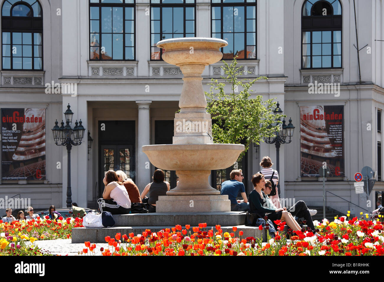 Fioritura Tulipani (Tulipa) a Gaertnerplatz piazza antistante il teatro Gaertnerplatz, Isarvorstadt, Monaco di Baviera, Germania, UE Foto Stock