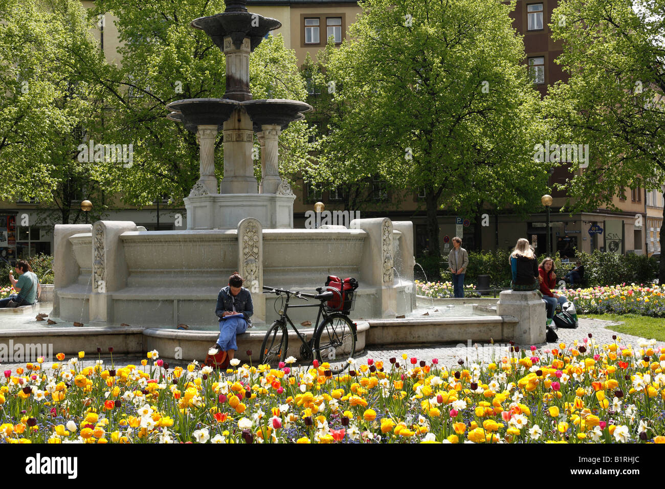 Fiori di Primavera in Weissenburg Square, Munich-Haidhausen, Alta Baviera, Germania, Europa Foto Stock