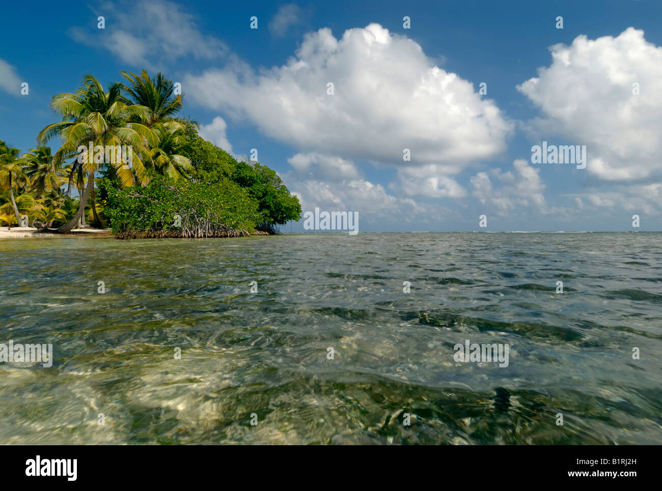 Sud acqua Caye, Coral Island, il Belize Barrier Reef, dei Caraibi e America centrale Foto Stock
