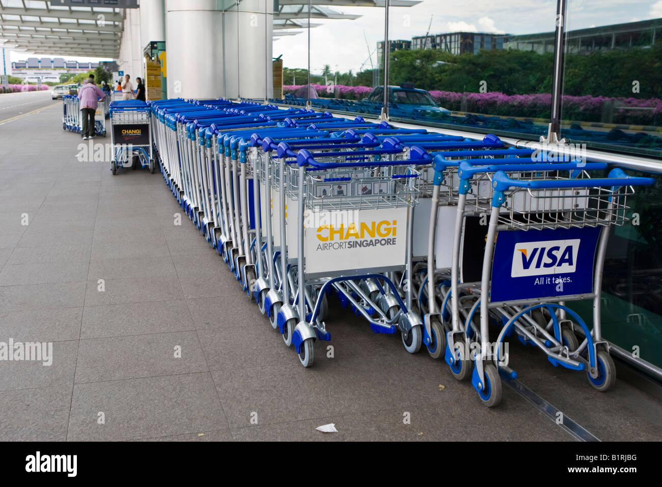 Carrelli bagagli presso l'Aeroporto Changi di Singapore, Sud-est asiatico Foto Stock