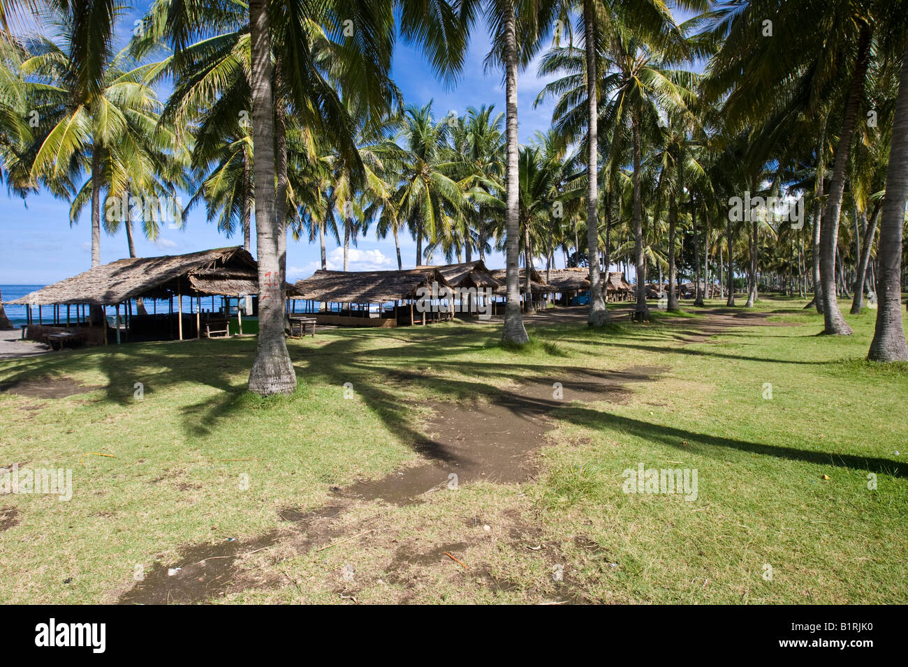 Capanne su un Palm tree plantation, sulla spiaggia, Isola di Lombok, Lesser Sunda Islands, Indonesia, Asia Foto Stock