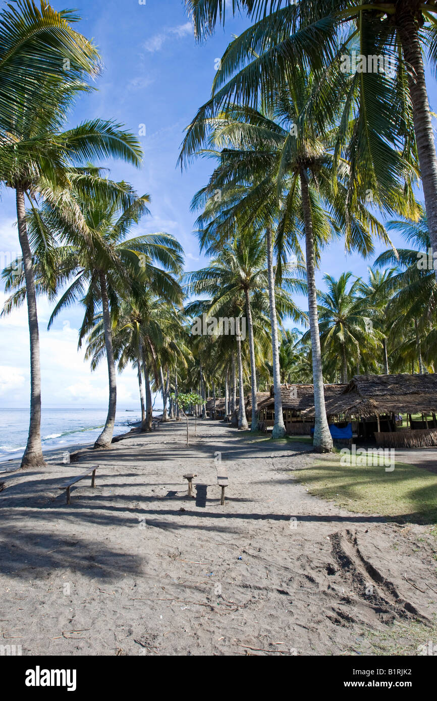 Capanne su un Palm tree plantation, sulla spiaggia, Isola di Lombok, Lesser Sunda Islands, Indonesia, Asia Foto Stock