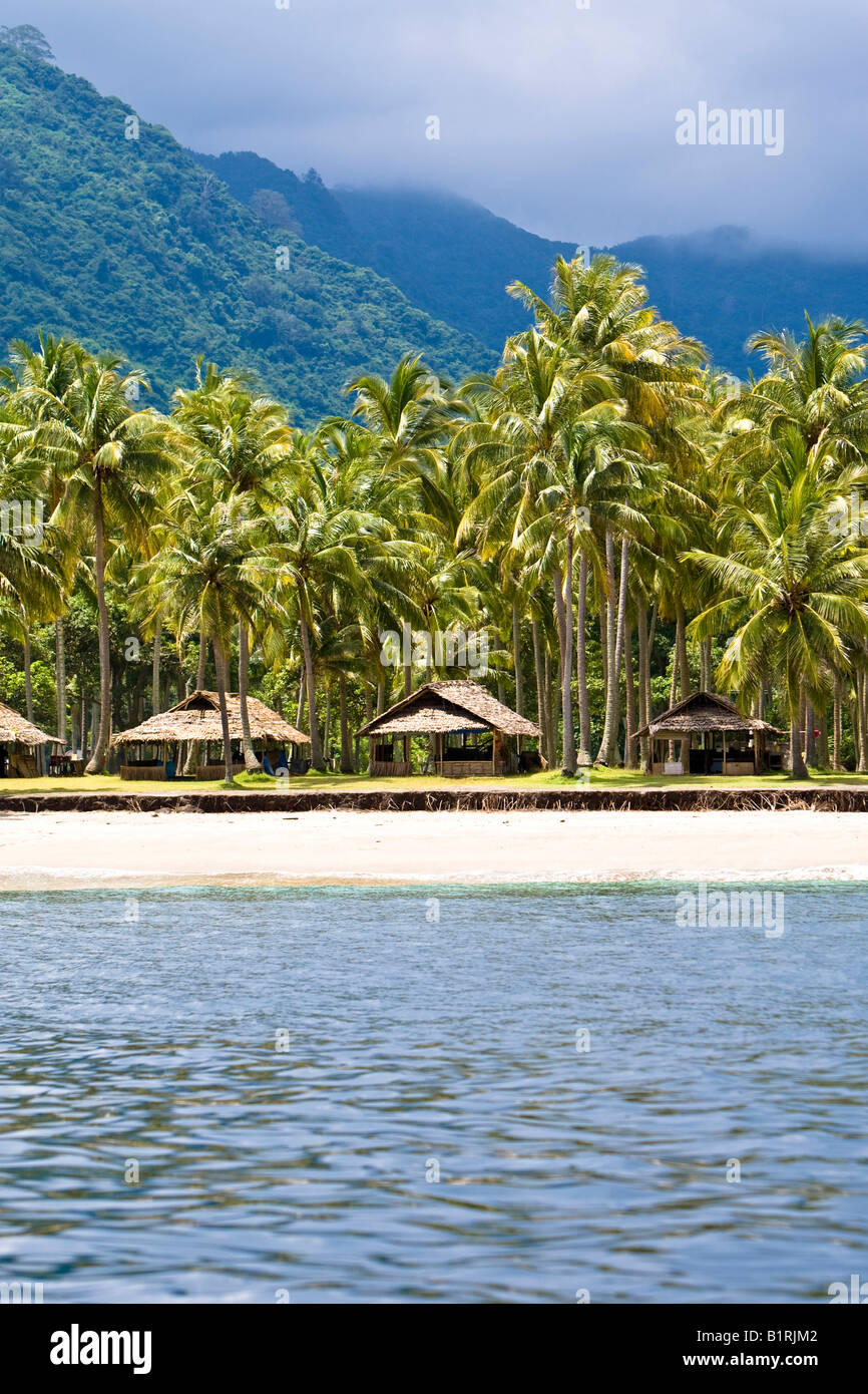 Capanne ad una piantagione di palme sulla spiaggia, Isola di Lombok, Lesser Sunda Islands, Indonesia, Asia Foto Stock