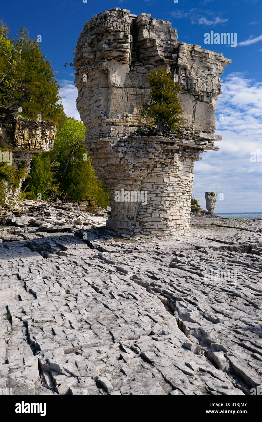 Pile di mare che sorge fuori della scarpata del Niagara calcare sul vaso di fiori isola Bruce Peninsula Ontario Foto Stock
