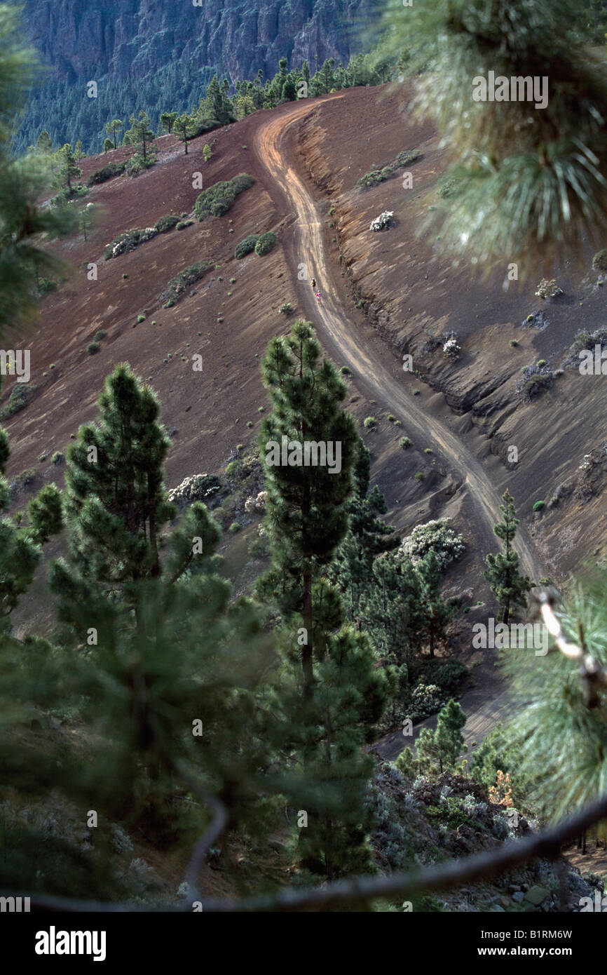 Il Teide montagne, Tenerife, Isole Canarie, Spagna Foto Stock