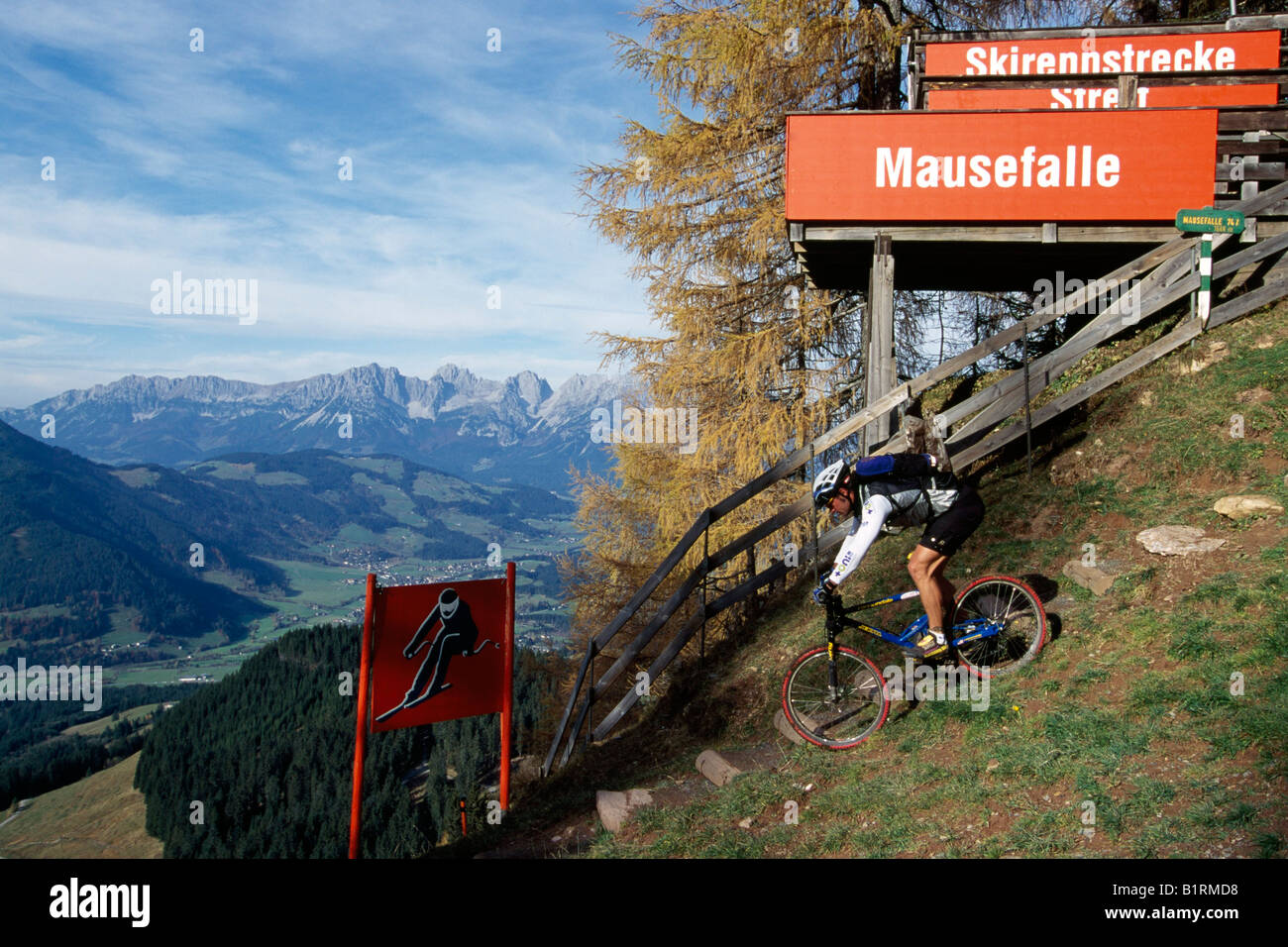 Mountain Biker, ski pista Streif in estate, Kitzbueheler Alpi, Kitzbuehel, Tirolo, Austria Foto Stock