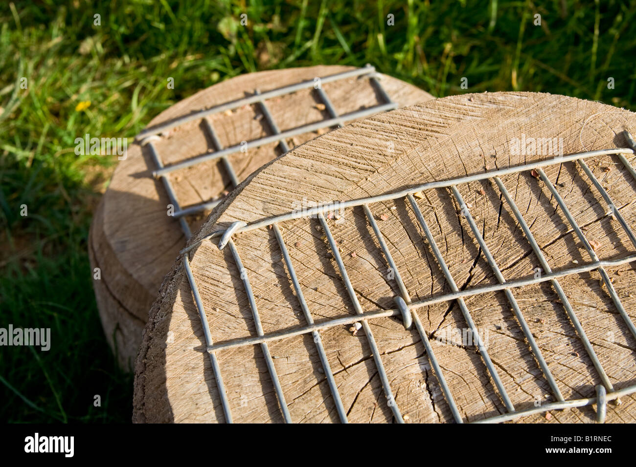 ^^legno blocchi di montaggio, UK. Foto Stock