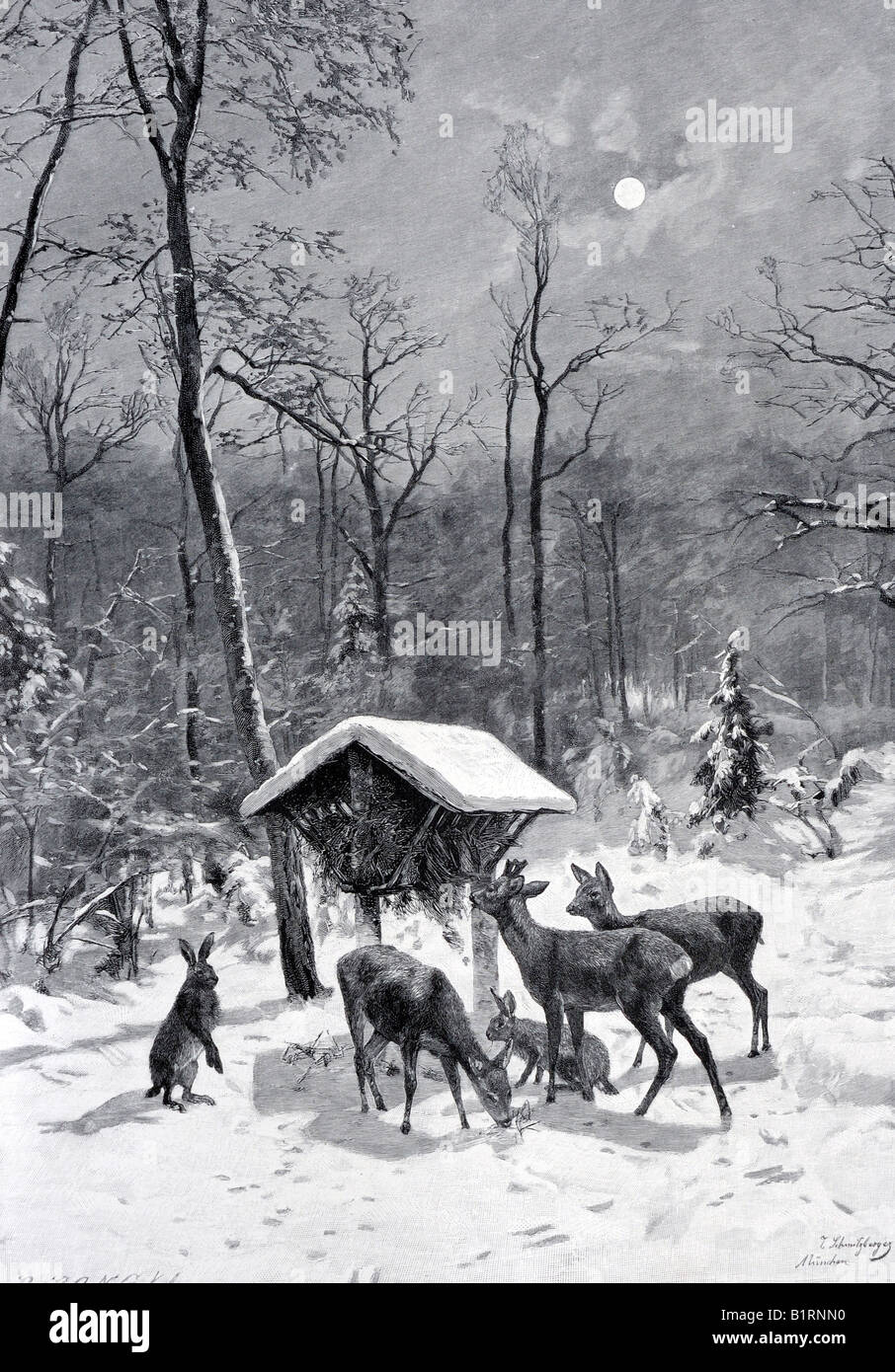 Hungrige Weihnachtsgaeste, xilografia dall Annuario Moderne Kunst di Meisterholzschnitten, arte moderna in Master xilografie, 1900 Foto Stock