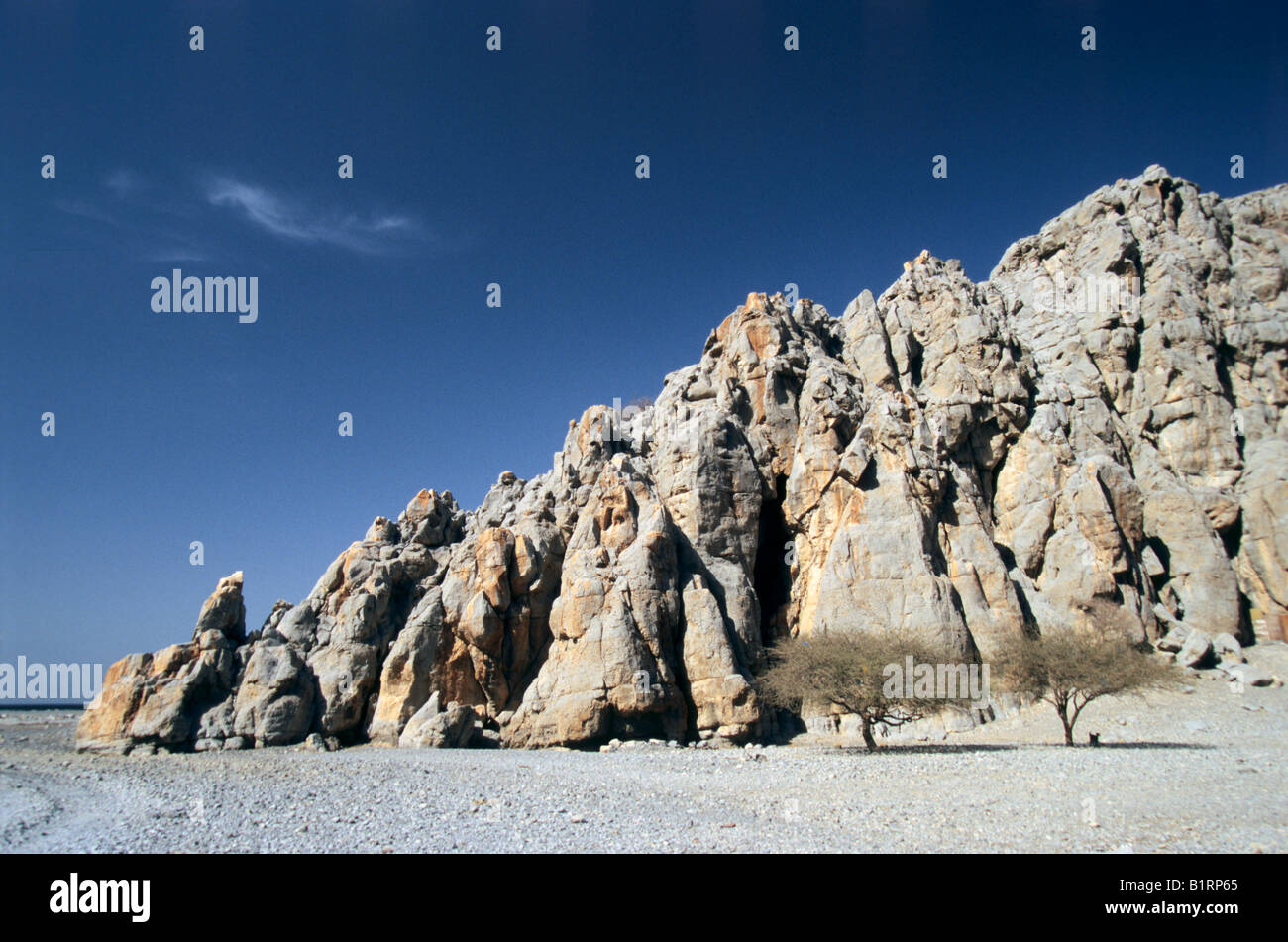 Paesaggio bizzarro con montagne rocciose e alberi di acacia, Oman, Arabia, Penisola Arabica, Asia Centrale, Asia Foto Stock