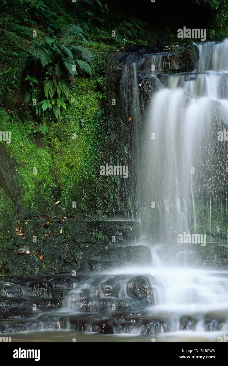 Purakanui cascata in dettaglio, Catlins, Isola del Sud, Nuova Zelanda Foto Stock