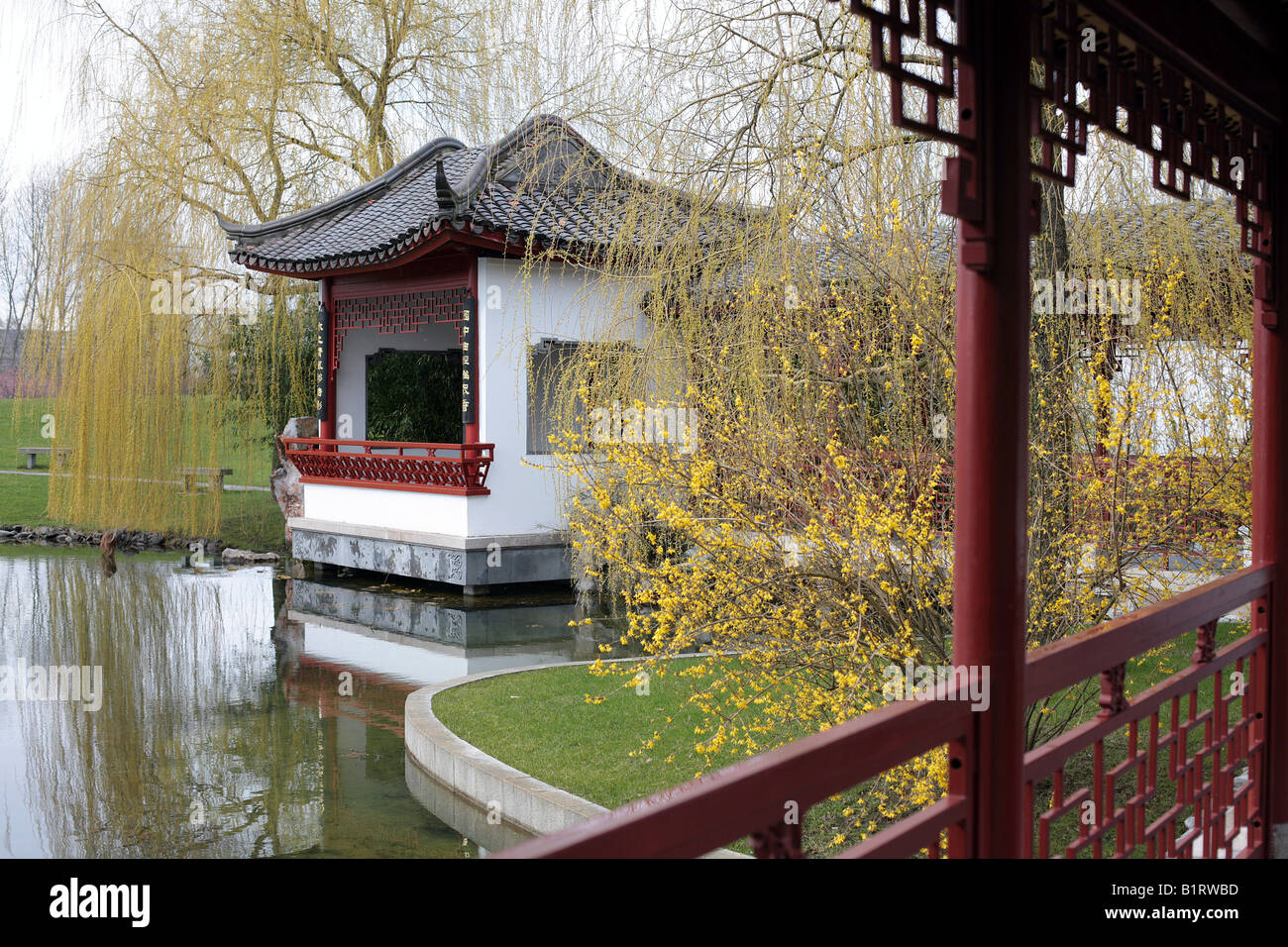 Calma Moonlight Pavilion nel Giardino Cinese, Gaerten der Welt, Giardini del Mondo, Marzahn di Berlino, Germania, Europa Foto Stock