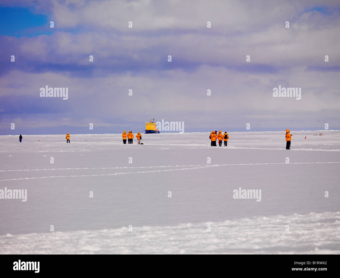 Di ritorno da Cape Washington per l'attività rompighiaccio capitano Khlebnikov, Antartico Foto Stock