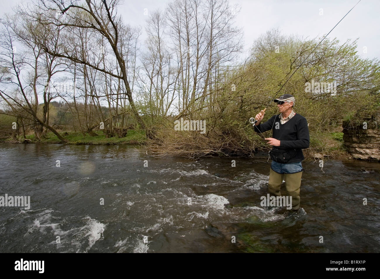 L'uomo la pesca con la mosca, area Vulkaneifel, Renania-Palatinato, Germania, Europa Foto Stock