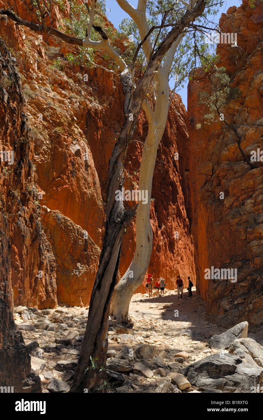 Entrata al Standley Chasm, West MacDonnell Ranges, Territorio del Nord, l'Australia Foto Stock