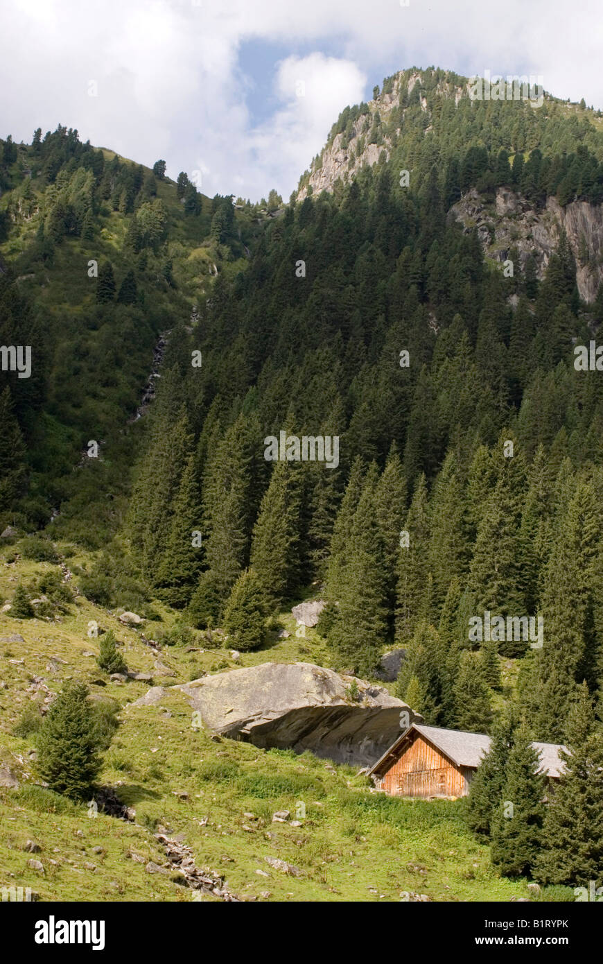 Alm, fattoria alpina con barriera a valanga, Wildgerlos-Tal, Wildgerlos Valley, Salisburgo, Austria, Europa Foto Stock