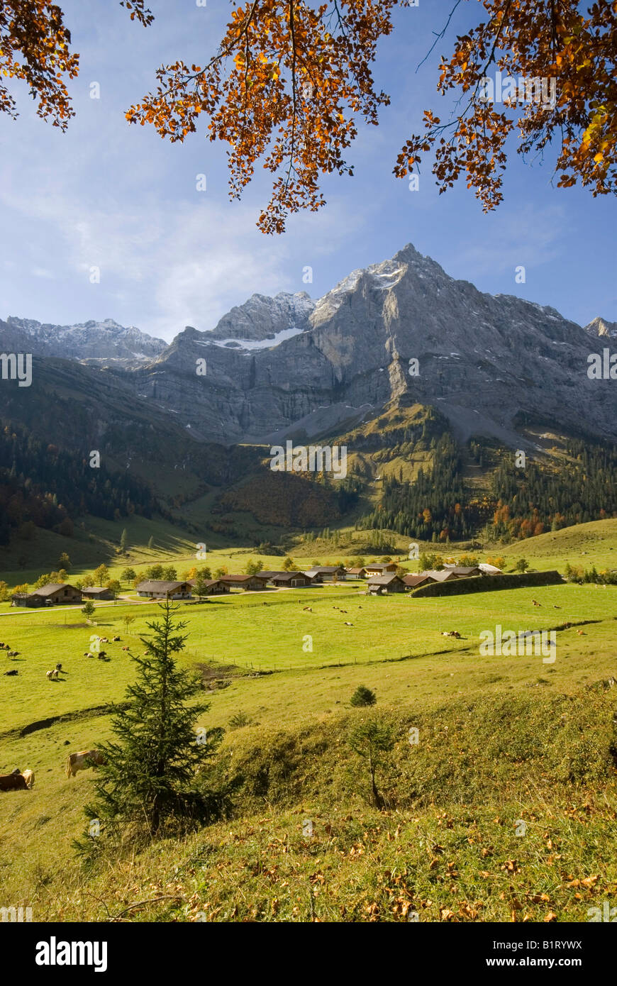 Eng-Alm pascolo alpino di fronte a Mt. Spritzkarspitze, gamma Karwendel, Schwaz, in Tirolo, Austria, Europa Foto Stock