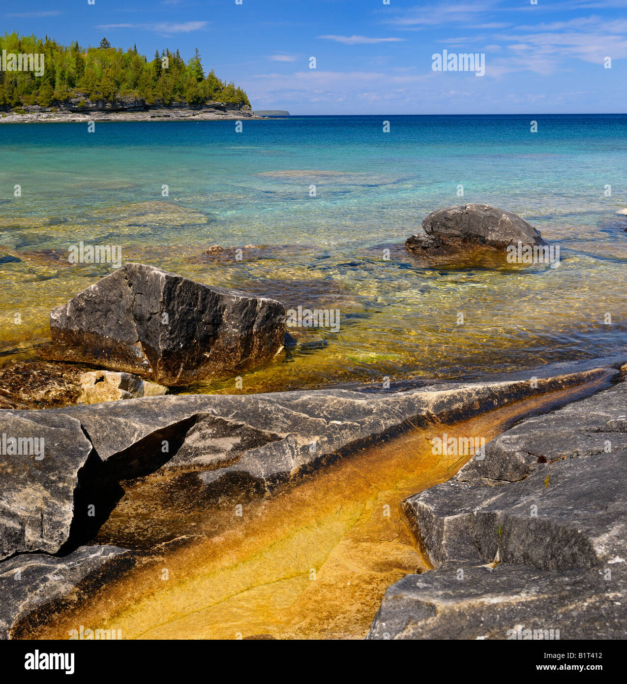 Orange alghe calcaree sulle rive del piccolo cove Bruce Peninsula Georgian Bay Ontario Foto Stock