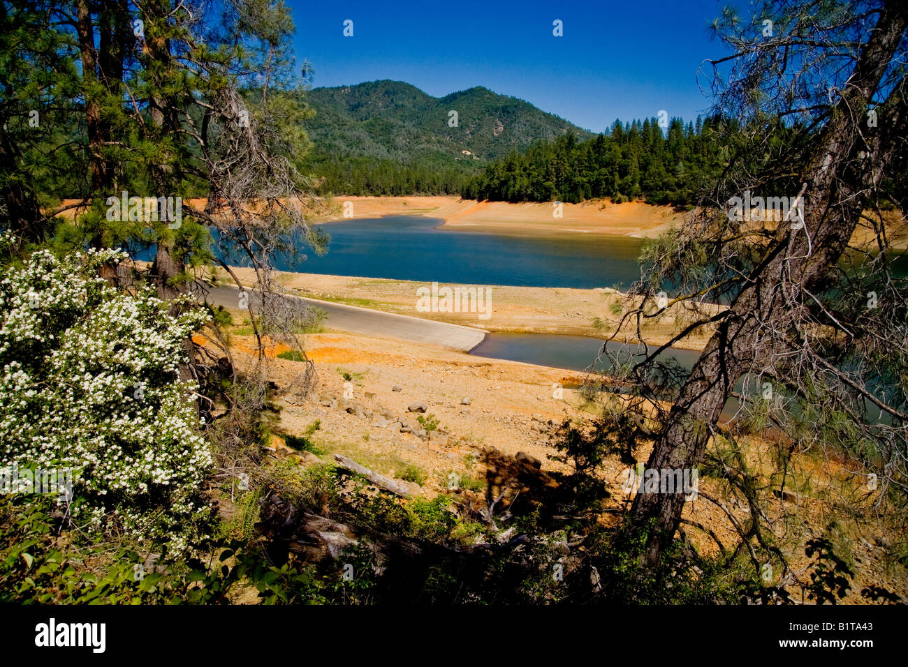 Condizioni di impasto lasciare grandi aree della banca esposta al Lago Shasta California Lago Shasta è un serbatoio Foto Stock