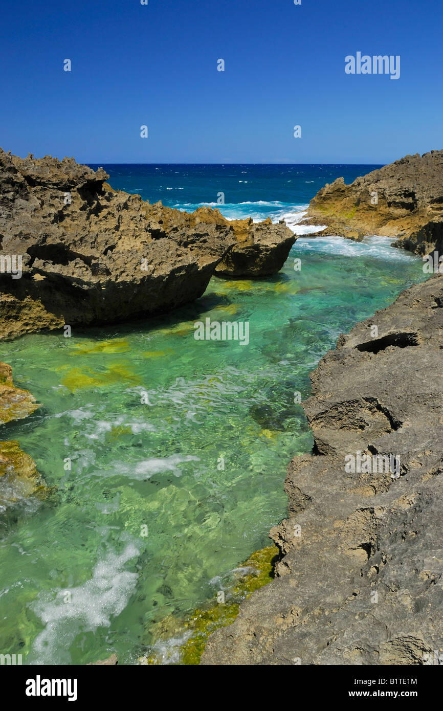 La ruvida costa a Punta Marchiquita vicino alla cittadina di Los Molinos al litorale del nord vicino manati, Puerto Rico Foto Stock