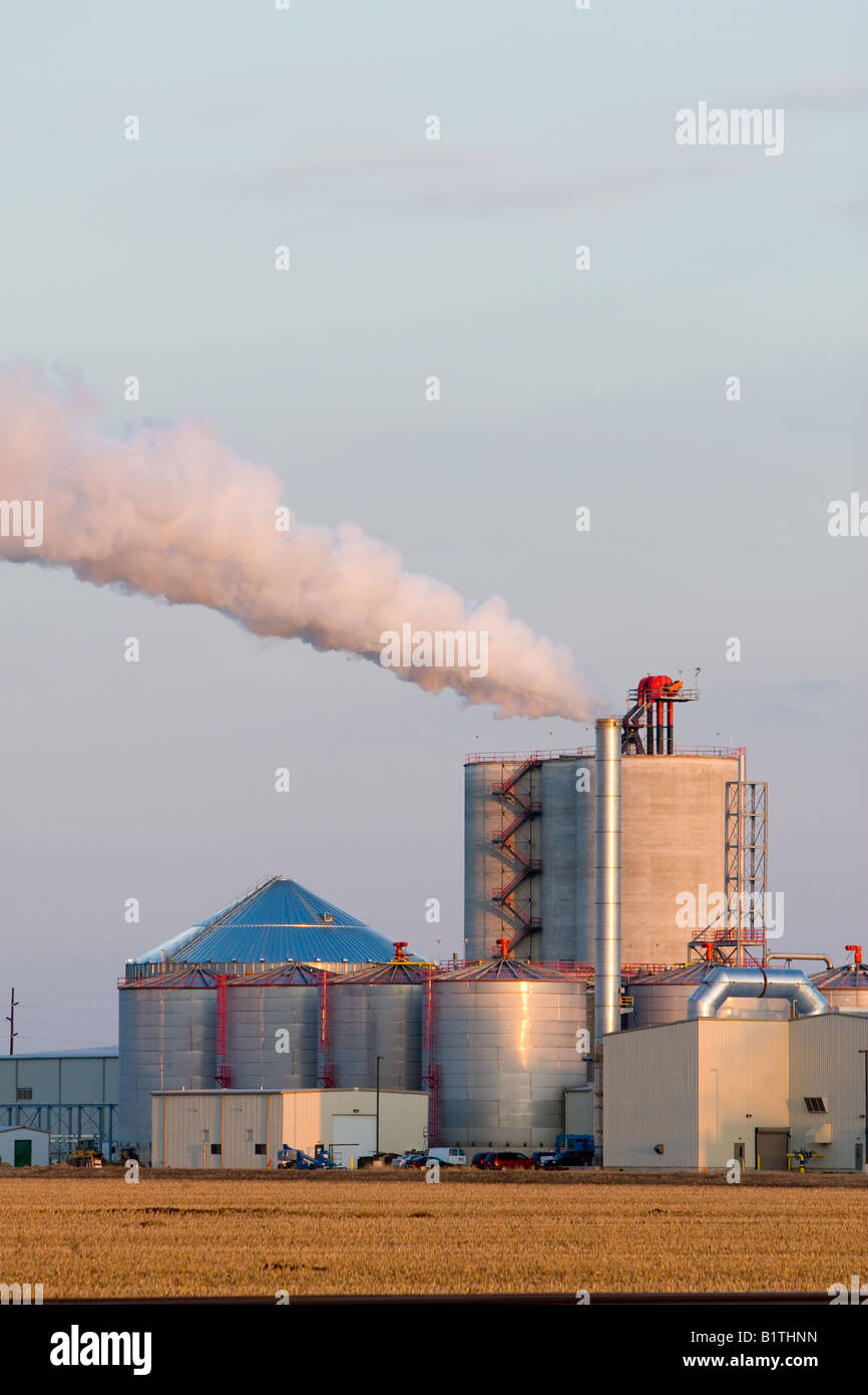 Un impianto di etanolo emette le nuvole di vapore attraverso l'Illinois prairie nei pressi di Rochelle. Foto Stock
