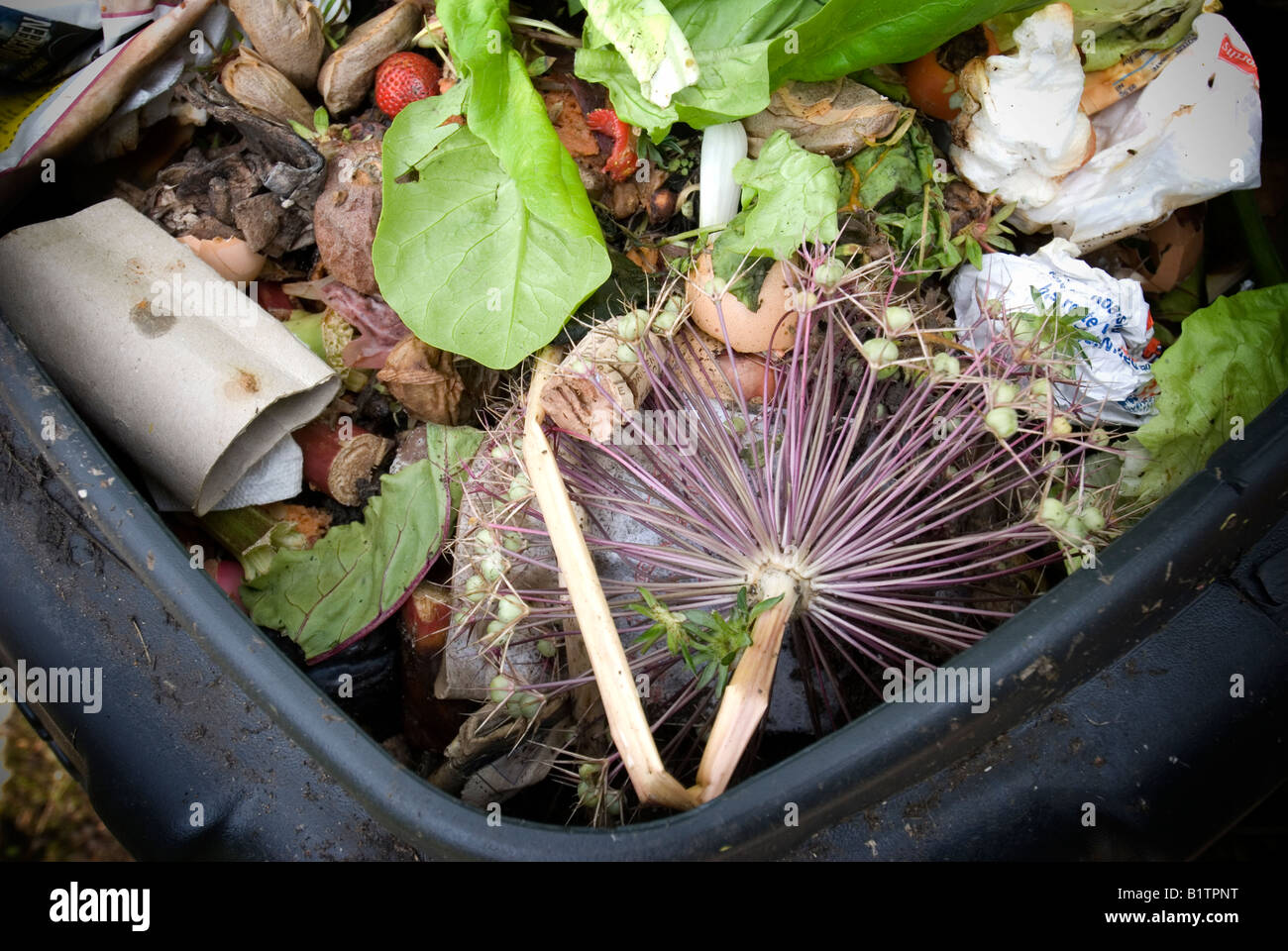Contenuto di un aperto in plastica nera compost bin Foto Stock