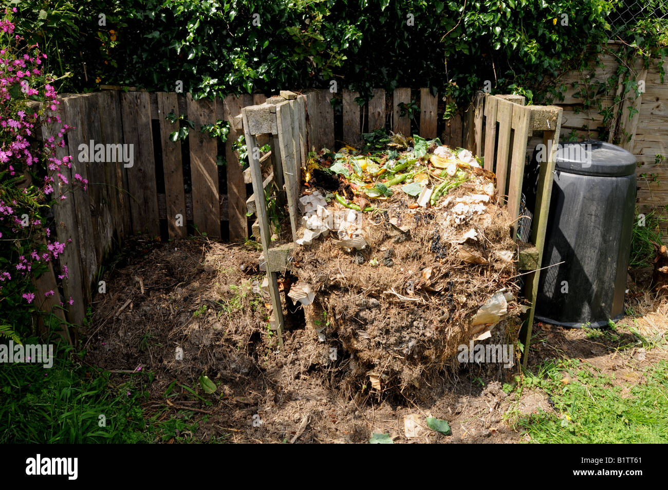 Composter nel giardino della Cornovaglia che mostra il compost sia completamente decomposto e decomporre in scomparti adiacenti. Foto Stock