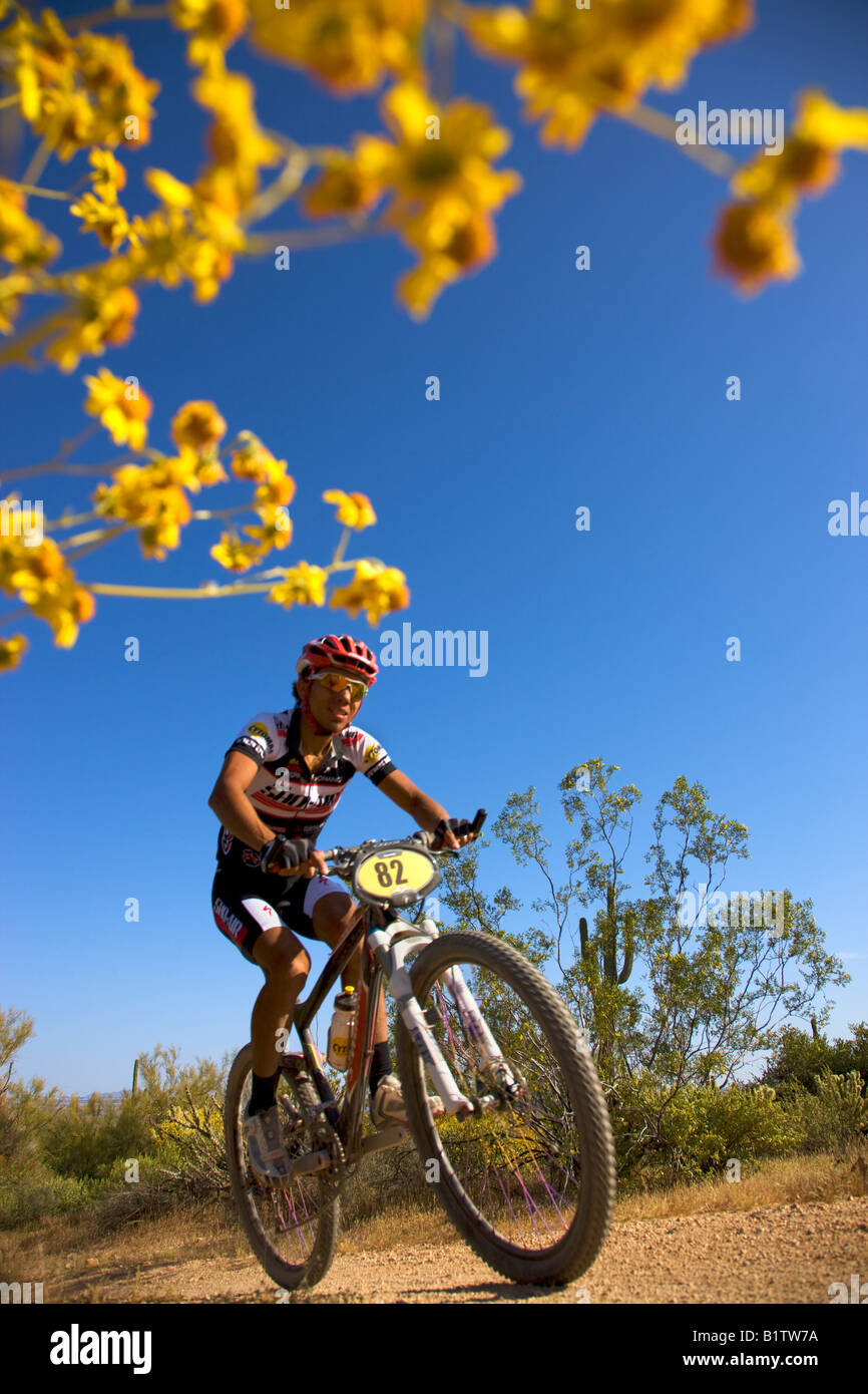 Il 2008 Pro Mens Kenda Cross Country gara come parte della Mountain Bike nazionale gare della serie McDowell montagna Parco Regionale Foto Stock