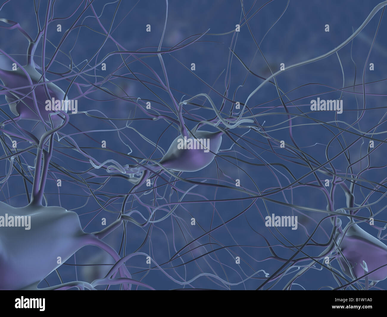 delle cellule nervose Foto Stock