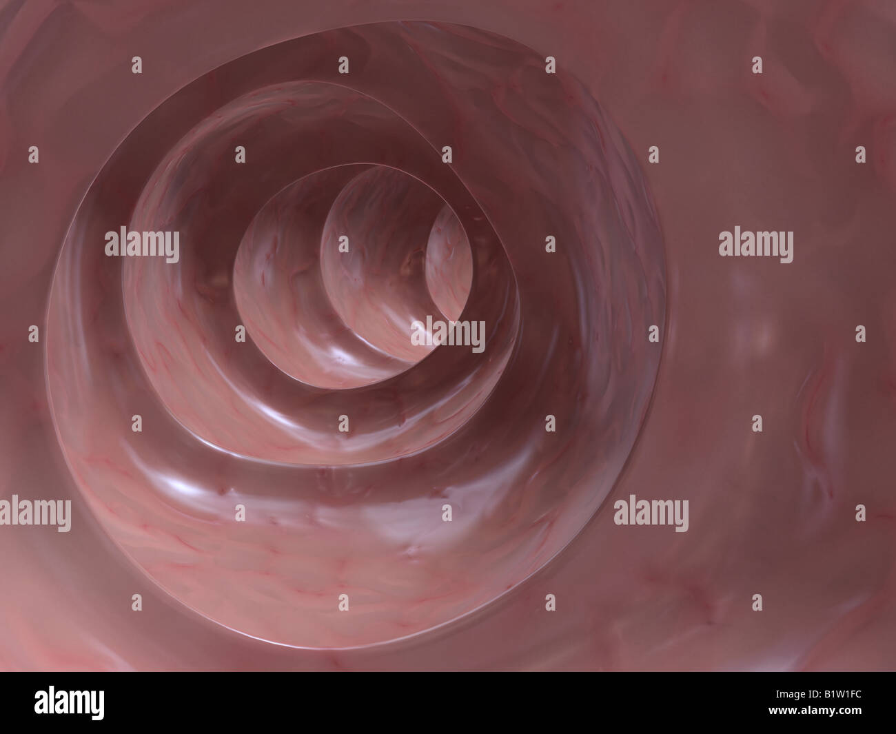 colon sano Foto Stock