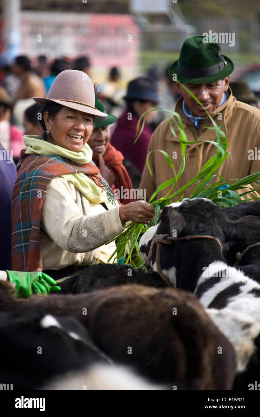 A Saquisili Mercato del Bestiame nel Viale del vulcano in Ecuador Foto Stock