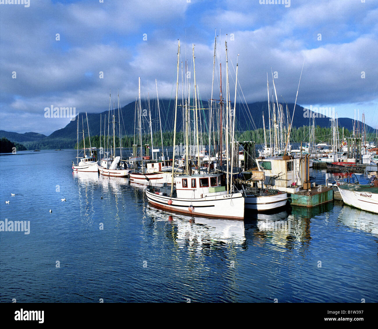 CA - British Columbia: Tofino Harbour sulla isola di Vancouver Foto Stock