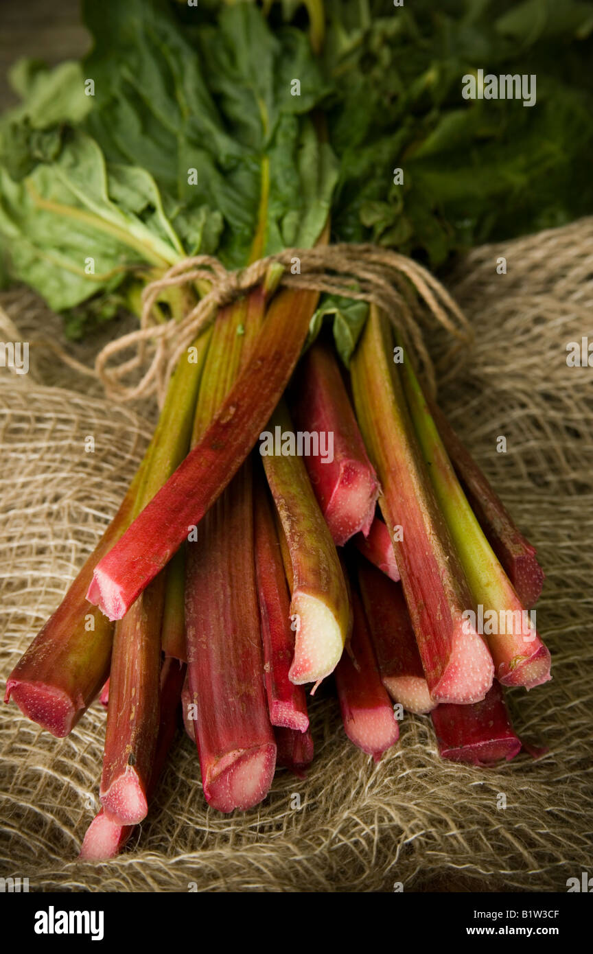 Rabarbaro posa sulla tavola, raccolte di recente e pronti per essere cucinati Foto Stock