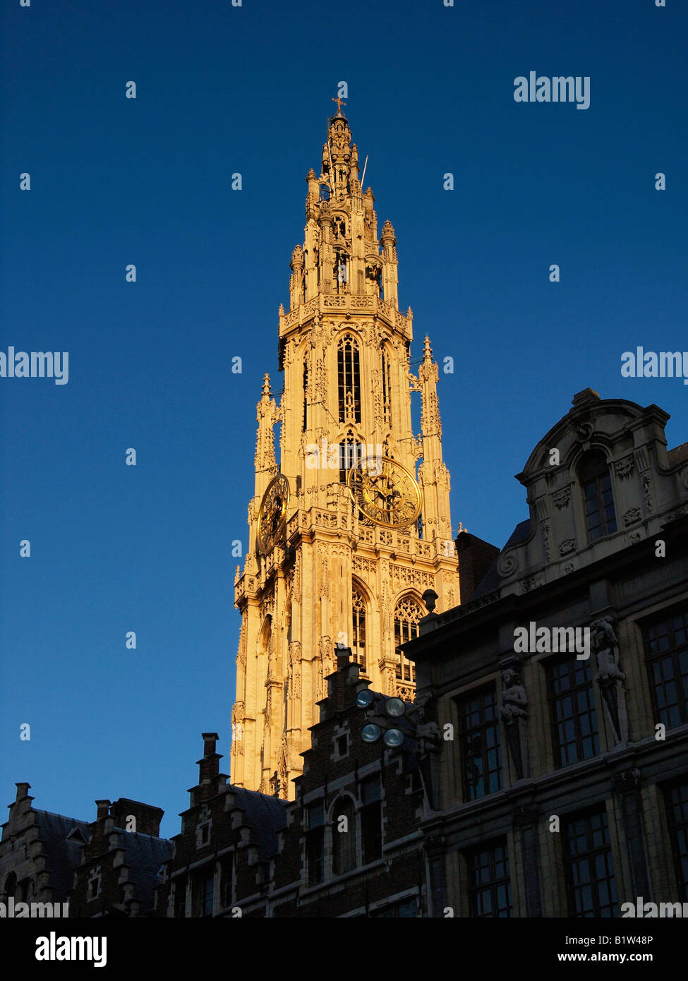 Torre del Grote Kerk grandiosa chiesa di Anversa in Belgio per l'ultima luce del sole Foto Stock