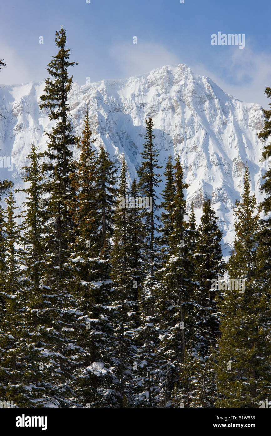 Canada Alberta Banff National Park montagne rocciose Foto Stock