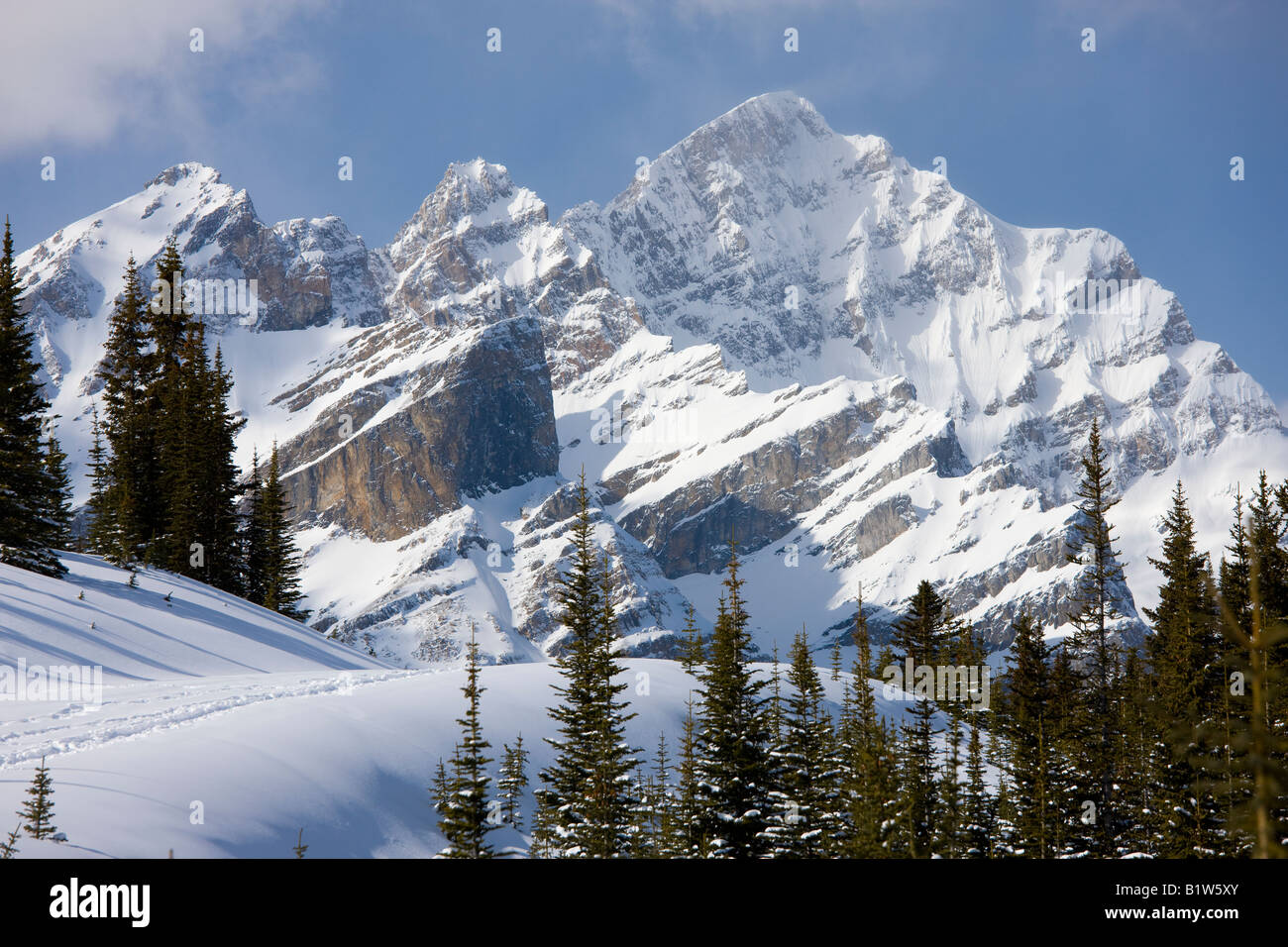Canada Alberta Banff National Park Icefields Parkway montagne vista su alberi di pino Foto Stock