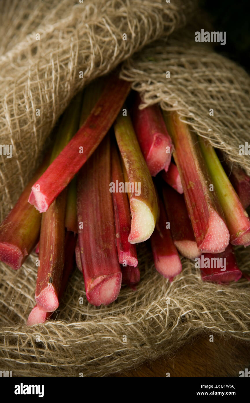 Rabarbaro posa sulla tavola, raccolte di recente e pronti per essere cucinati Foto Stock