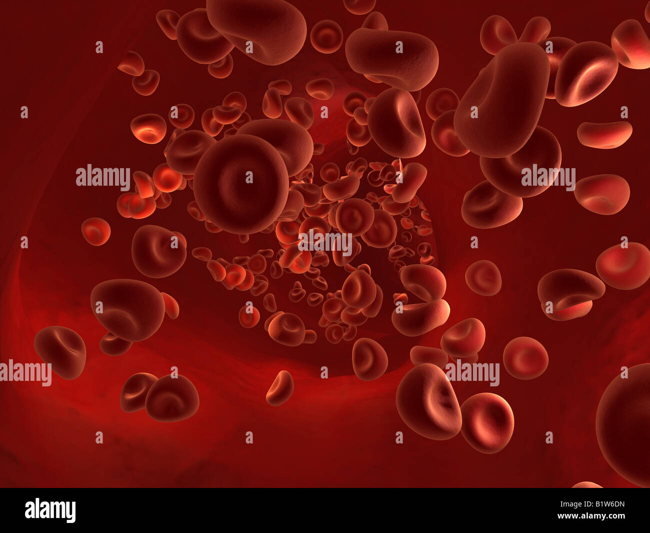 Lo streaming di cellule rosse del sangue Foto Stock
