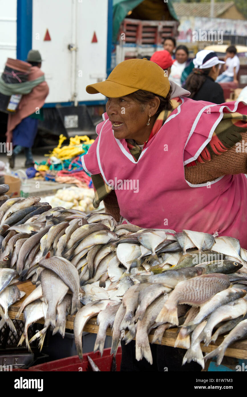 Donna ecuadoriana di vendita del pesce su un mercato nel villaggio di Saquisili in Ecuador Foto Stock