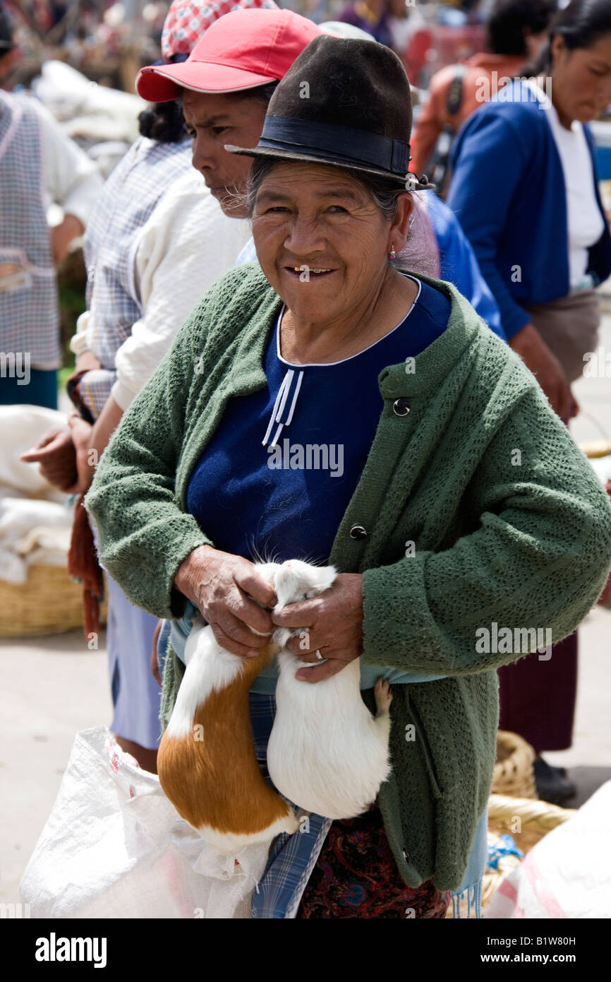 Donna ecuadoriana con live cavie sta acquistando per alimenti in un mercato di Saquisili in Ecuador Foto Stock