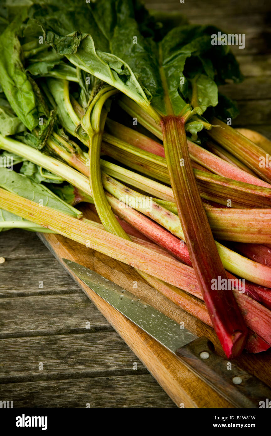 Rabarbaro posa sulla tavola, raccolte di recente e pronti per essere cucinati Foto Stock