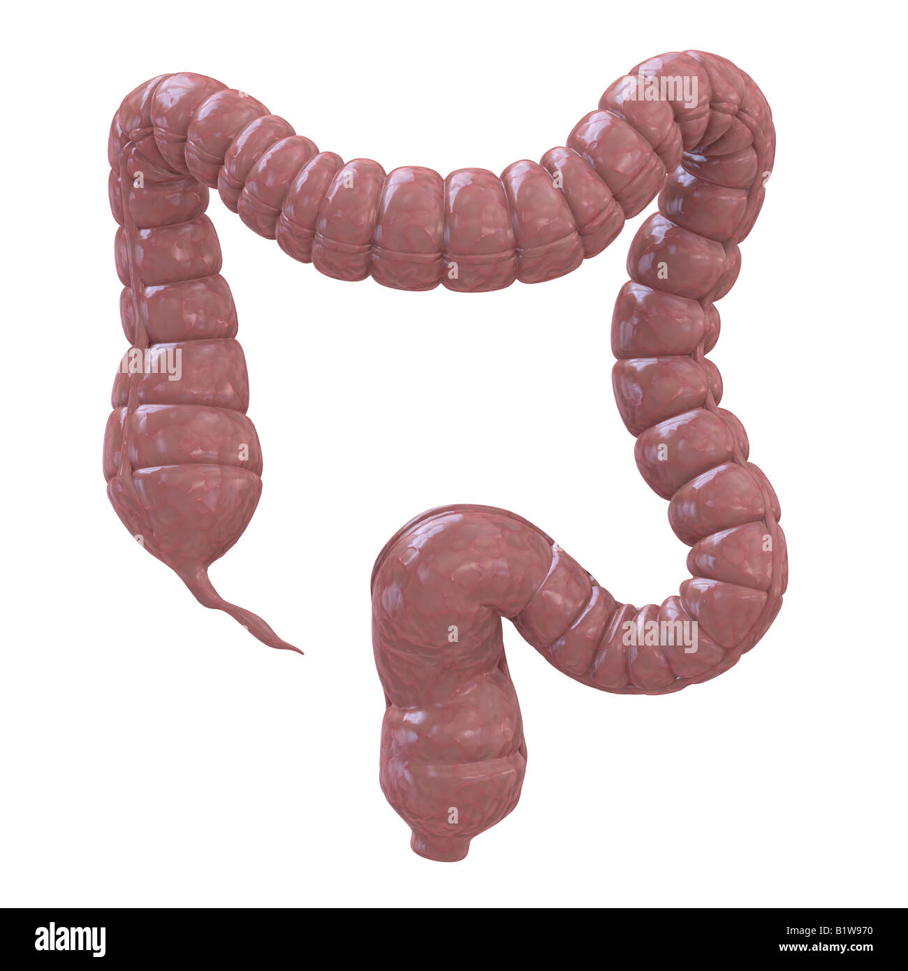 due punti umani Foto Stock