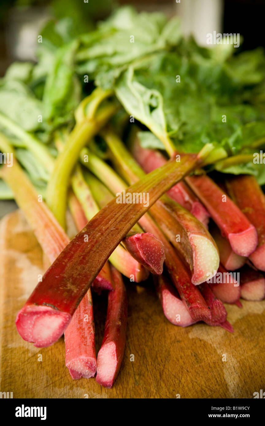 Rabarbaro posa sulla tavola, raccolte di recente e pronti per essere cucinati Foto Stock